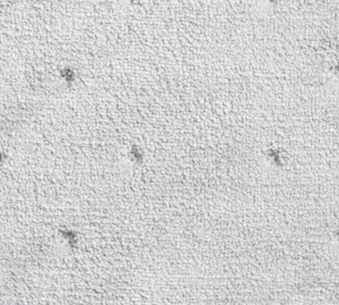 e173bc2a440690652ae476fd84a7